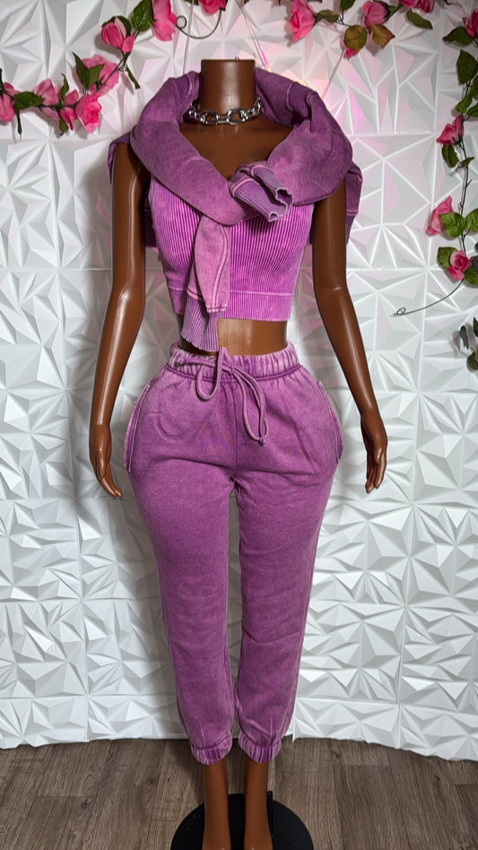Jogger 3 piece sweatsuit (purple)
