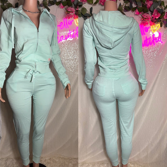 Zip up sweatsuit (Light Green)